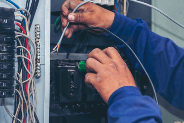 Best Local Electrician Companies  in Darrington, WA